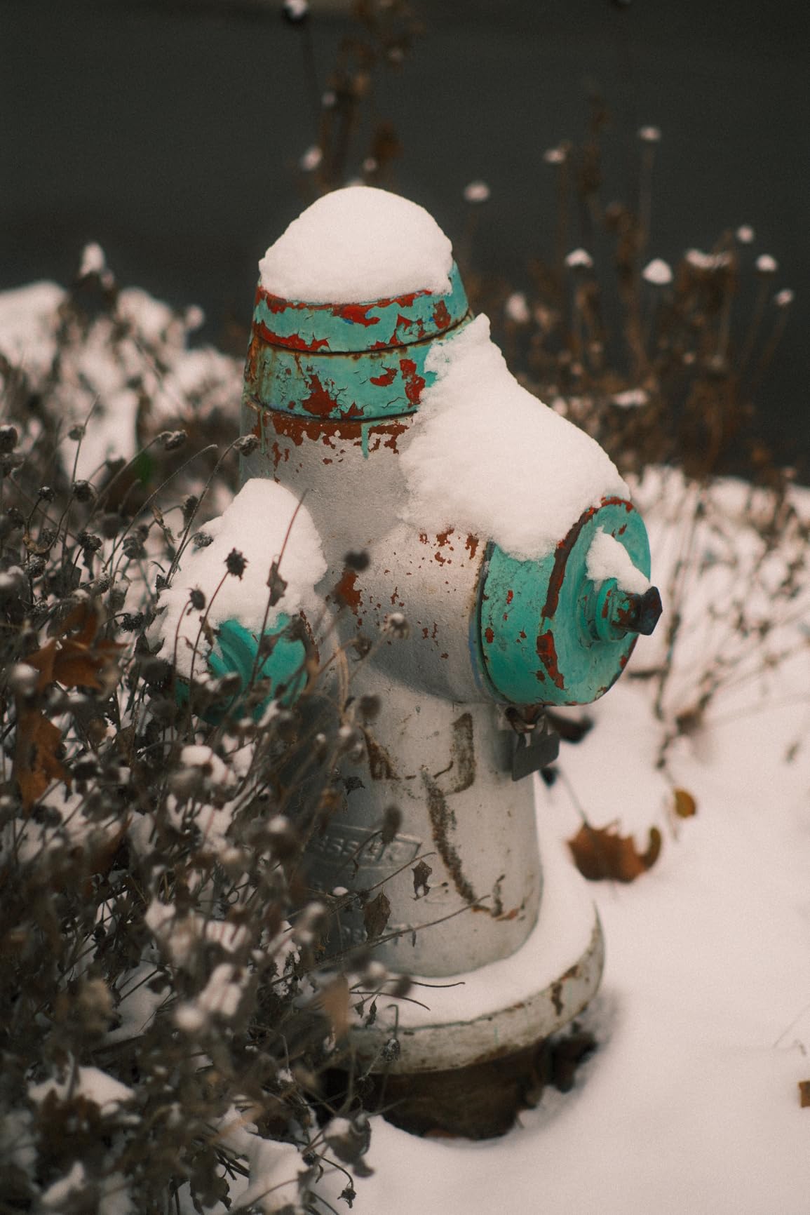 TTArtisan 50mm F1.2 APS-C Manual Focus Lens for Nikon Z Mount Cameras Like Z50 customer photo 2