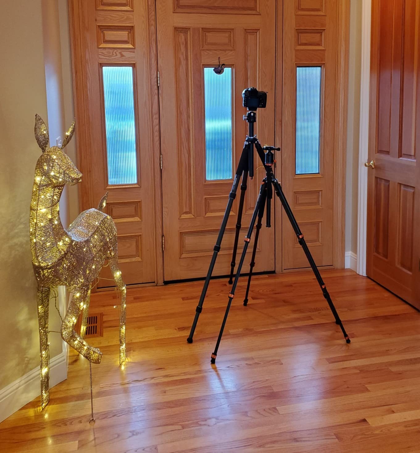 Carbon Fiber Camera Tripod-INNOREL GT324C Professional Compact Shooting Tripod for Heavy Duty Stand with Low Gravity Center Ball Head Special-Shaped Center Column - Customer Photo 2