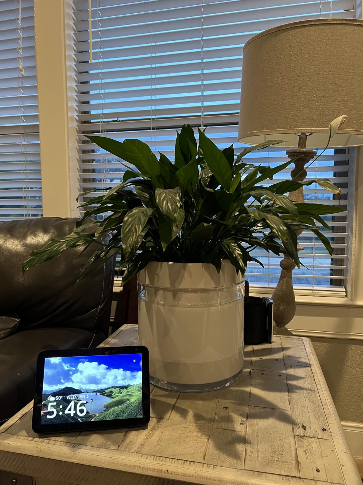 Phoenix Vine 8 Inch Self Watering Planter Pot, Terracotta Clay Pot with Glass Reservoir for Indoor Plants, Herbs, Flowers, Set of 1 - Customer Photo 2