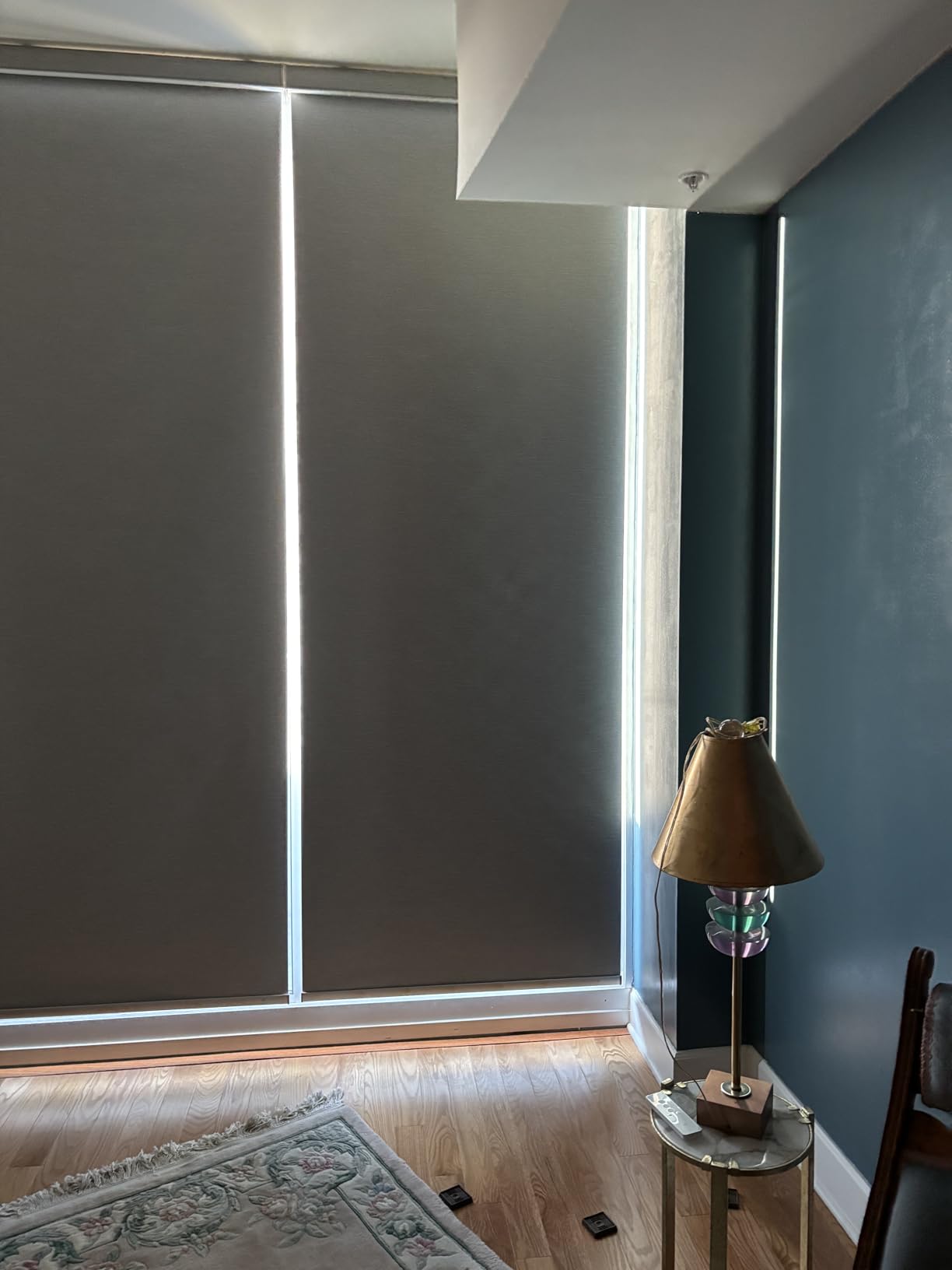 SmartWings Motorized Roller Shades Work with HomeKit, 100% Blackout Window Shades, Cordless Wireless Remote Control Roller Blinds customer photo 1