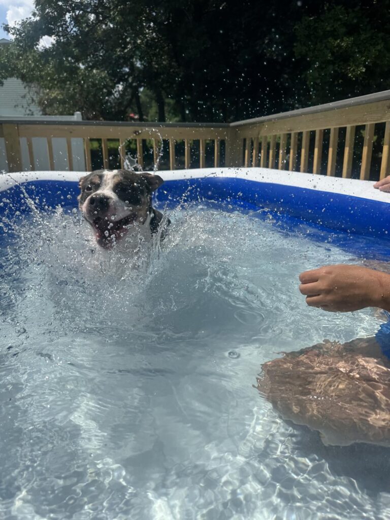 10 Best Inflatable Pools for Backyards