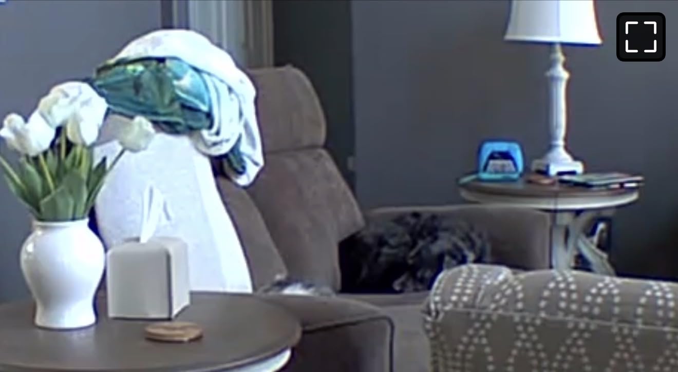 Blink Mini Pan-Tilt Camera (newest model), Rotating indoor plug-in smart security camera, two-way audio, HD video, motion detection, Works with Alexa (Black) - Customer Photo 1