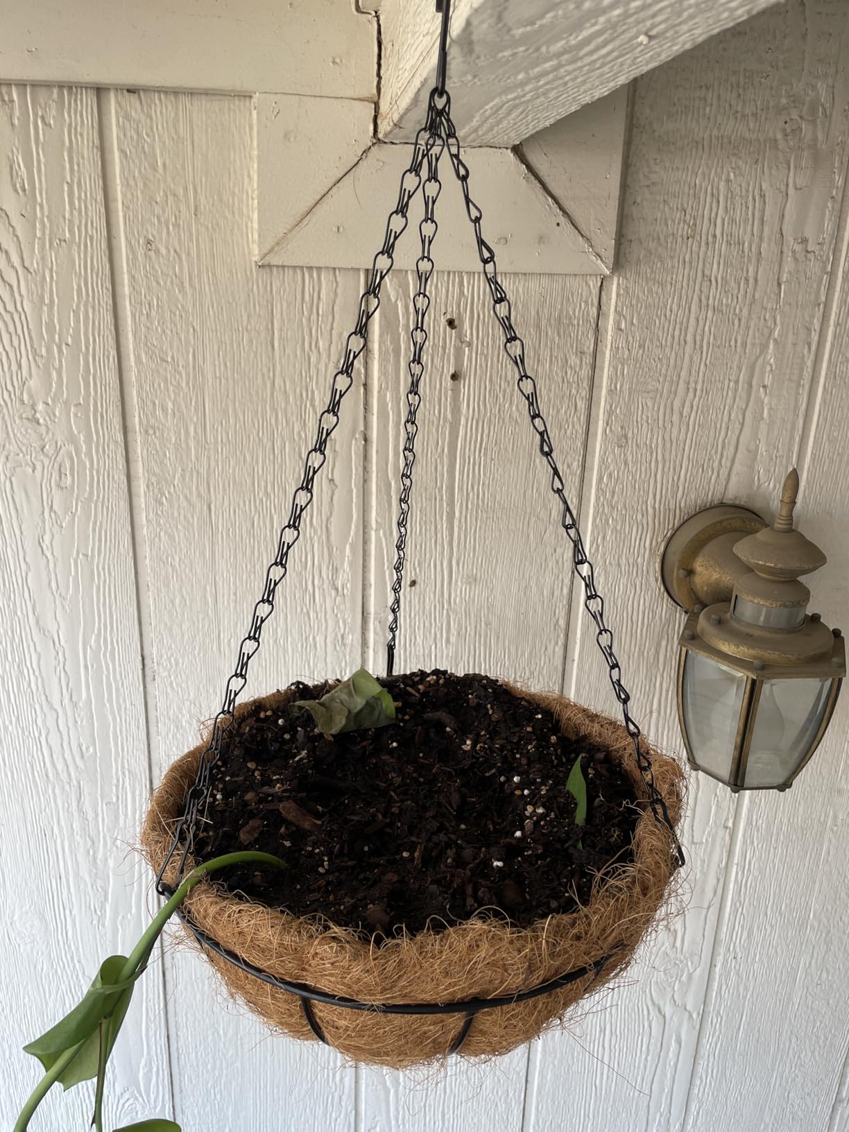 ZeeDix 2 Pack 14 Inch Metal Hanging Baskets for Plants Outdoor, Wire Round Planters with Coco Coir Liner, Hanging Flower Baskets for Home Garden Porch Balcony Railings Decor - Customer Photo 2