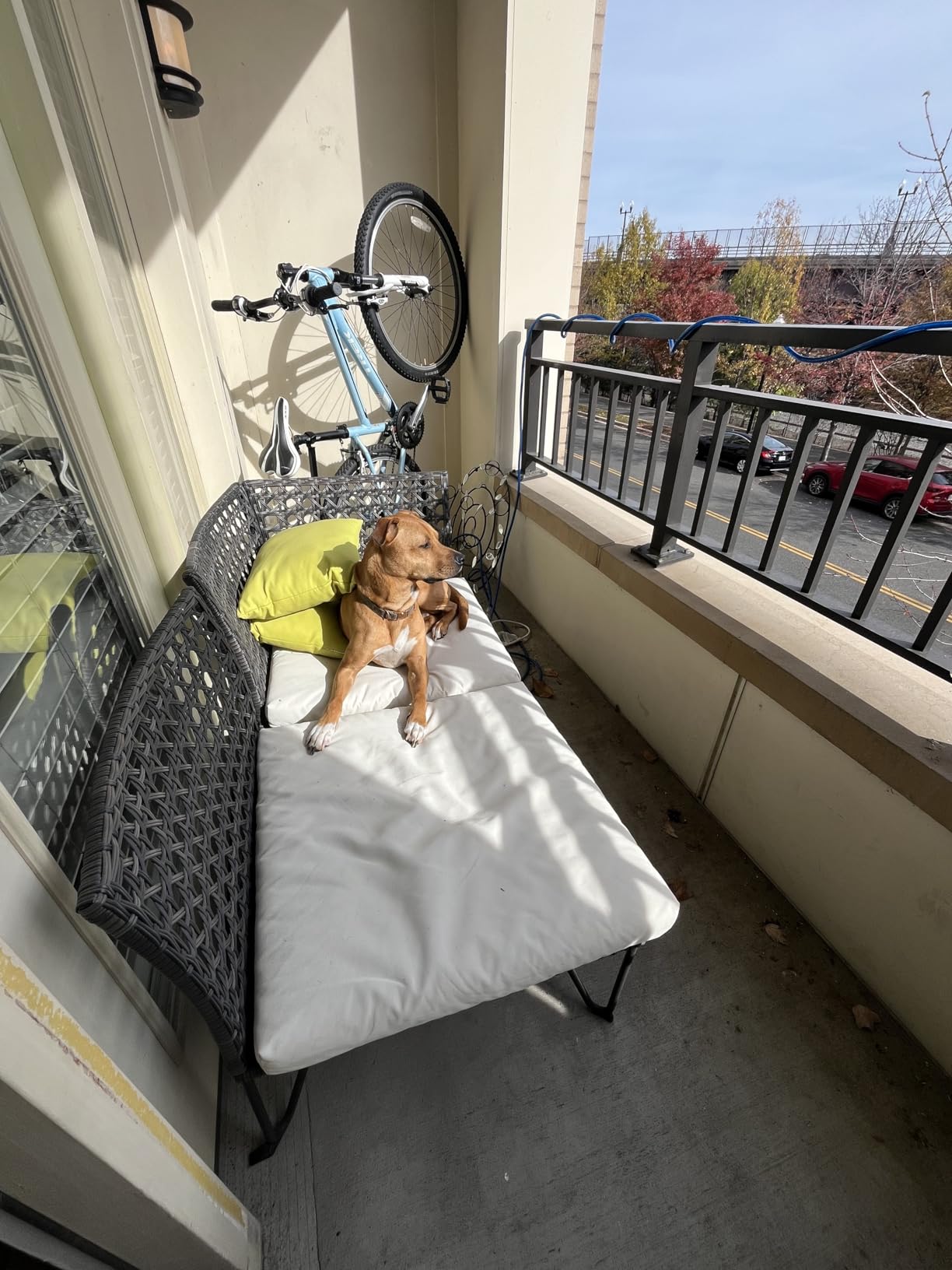 Foozet Bike Stand,Vertical Bike Rack Garage,Space-Saving Rack with Adjustable for Garage & Apartment, Bike Storage for Indoor Storage (1 pack) - Customer Photo 2