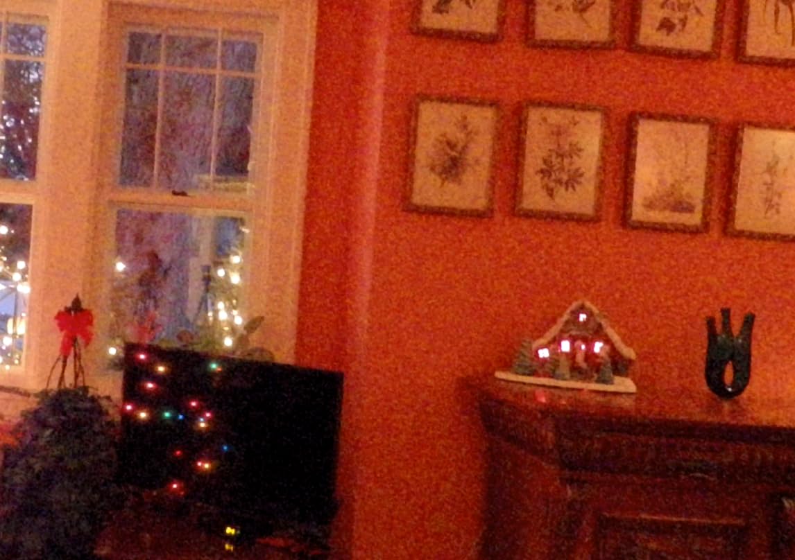 Zoom Q8n-4K Handy Video Recorder - Customer Photo 2