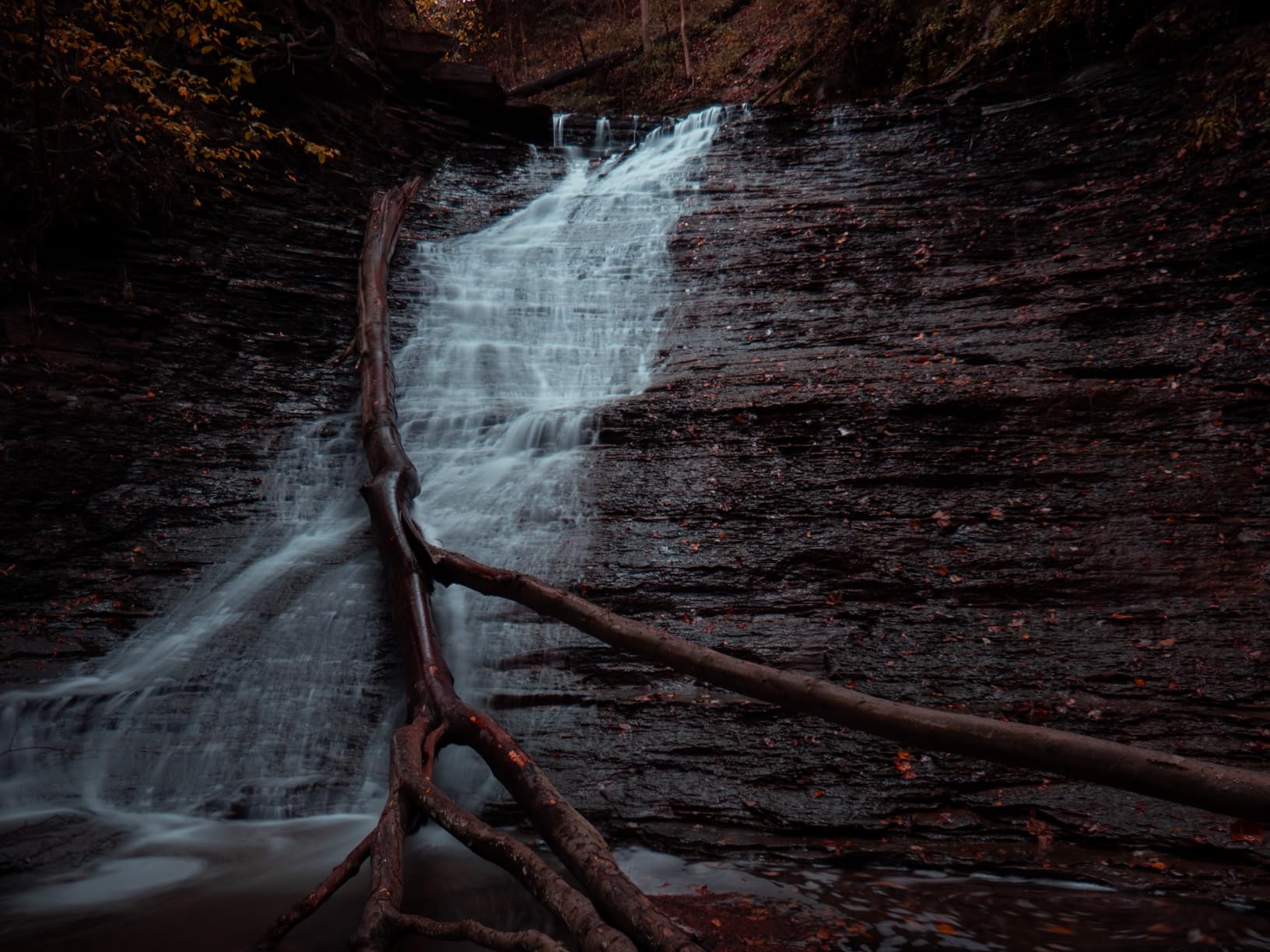 OM SYSTEM Olympus M.Zuiko Digital ED 12-40mm F2.8 PRO II Lens - Customer Photo 2