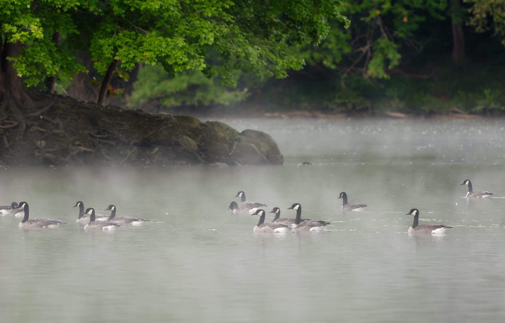 OM SYSTEM Olympus OM-1 Micro Four Thirds System Camera 20MP BSI Stacked Sensor Weather Sealed Design - Customer Photo 1