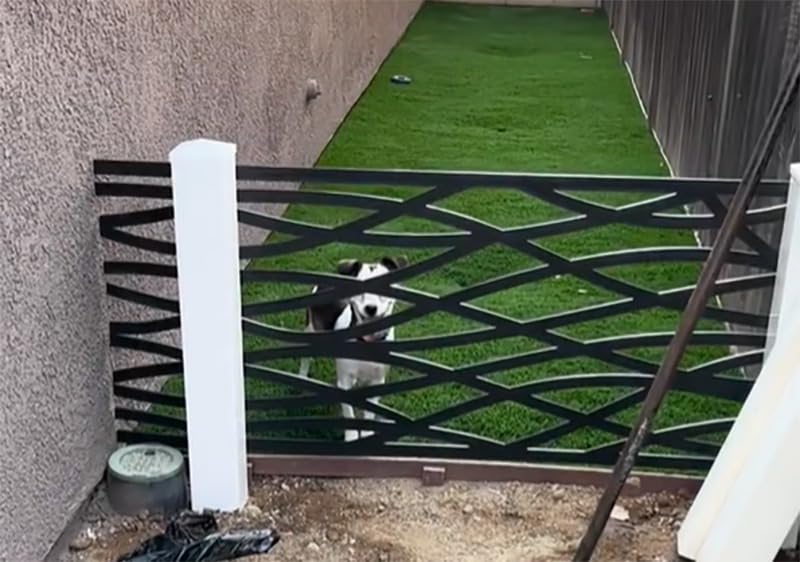 GRID AXCENTS Wave Decorative Lattice, Privacy Screen, Deck Skirting, Multi-use Panel (2 ft. x 4 ft., White, 1) - Customer Photo 2