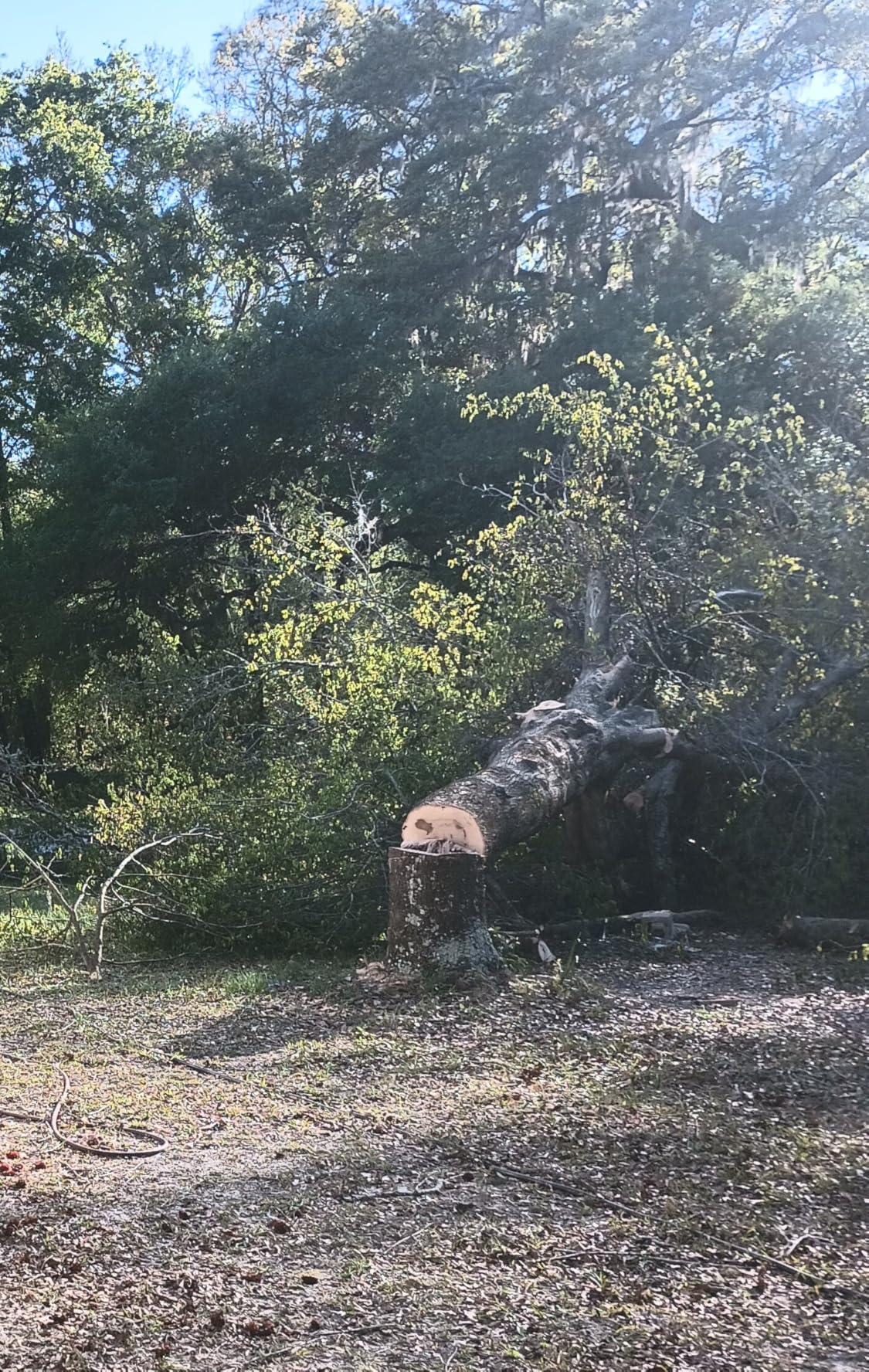 Product - Customer Photo 1