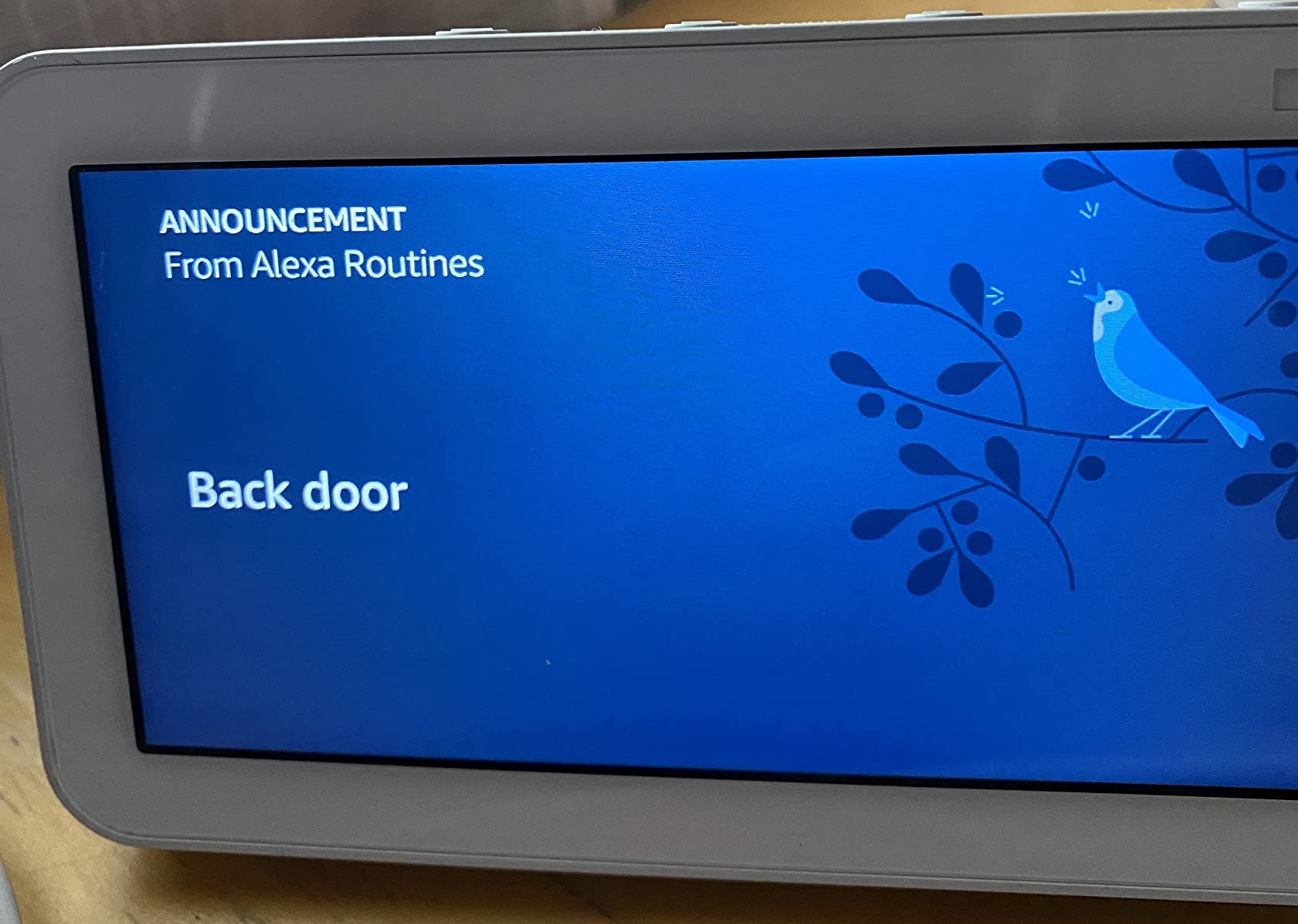 YoLink Outdoor Motion Sensor Kit, 2 LoRa Motion Sensors + SpeakerHub, Driveway Alert, D2D Direct Pairing Works Without Internet, App Email SMS Alerts, Alexa Routines, 2+ Year Battery, Hub Included - Customer Photo 3