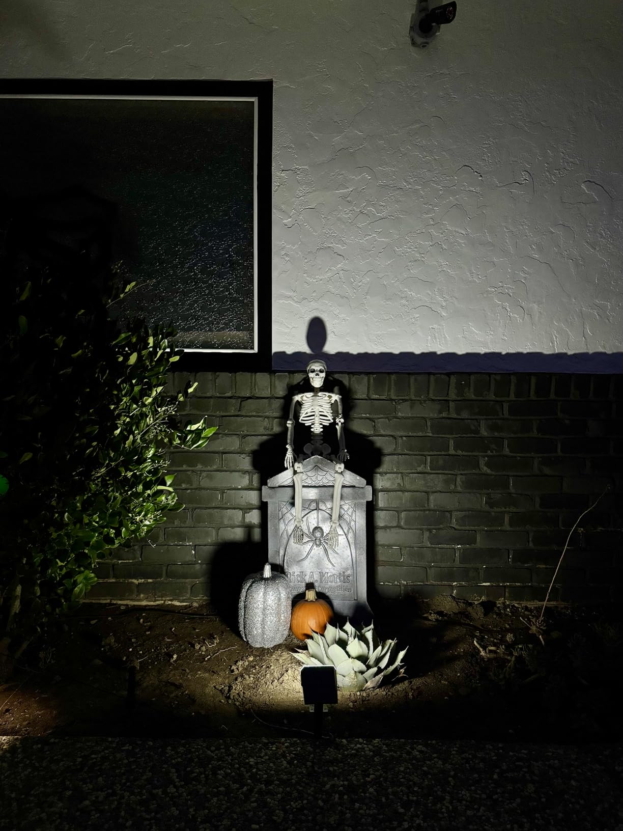 NYMPHY Solar Lights Outdoor Waterproof IP68, 56 LED 3 Lighting Modes Solar Powered Garden Yard Spot Solar Lights for Outside Landscape- 4 Pack (Cool White) - Customer Photo 1