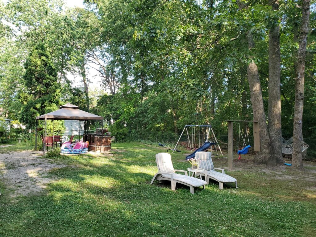 10 Best Flea and Tick Yard Sprays