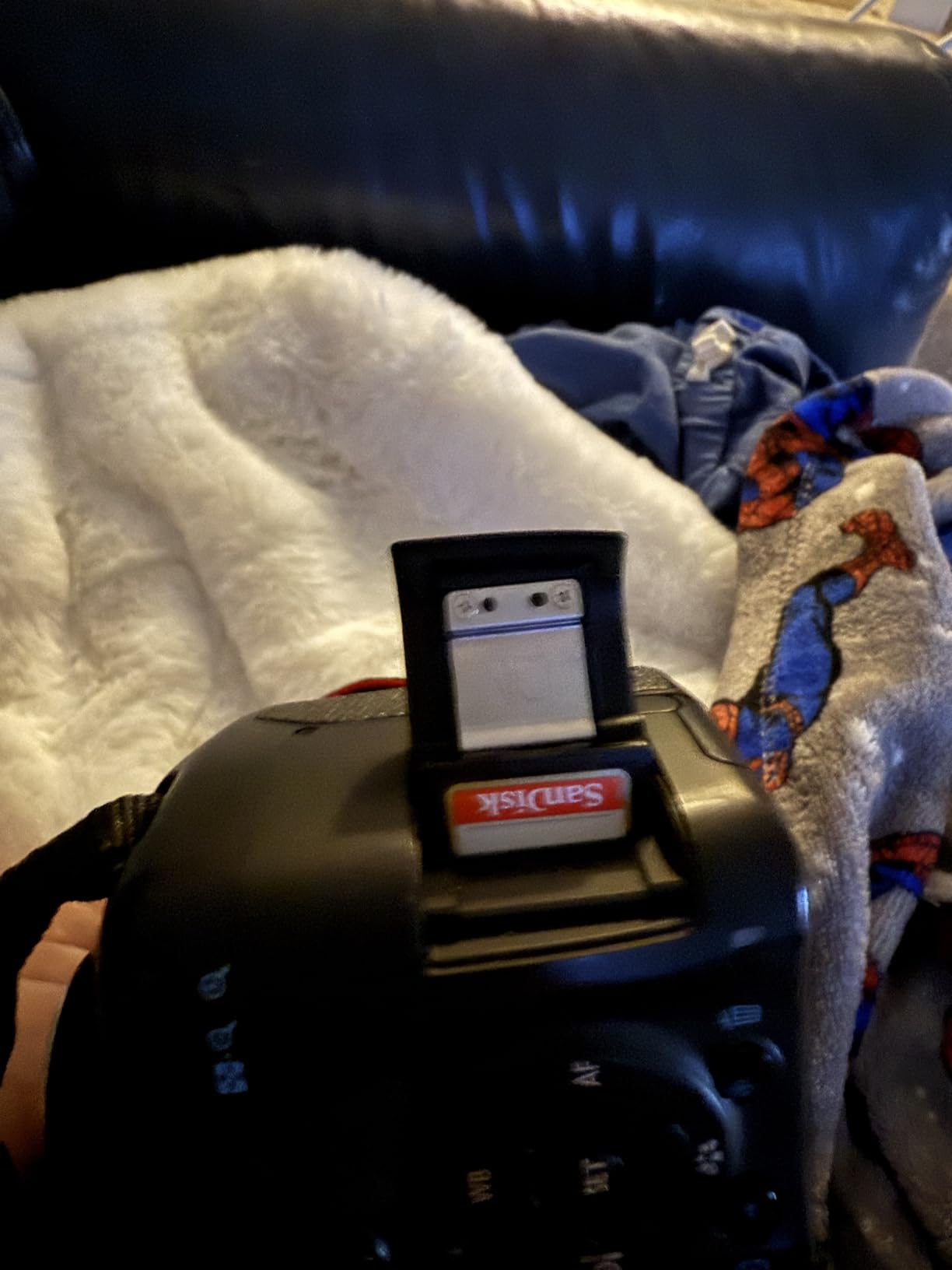 SANDISK 64GB Extreme SDXC UHS-I Memory Card - C10, U3, V30, 4K, UHD, SD Card - SDSDXV2-064G-GNCIN customer photo 2