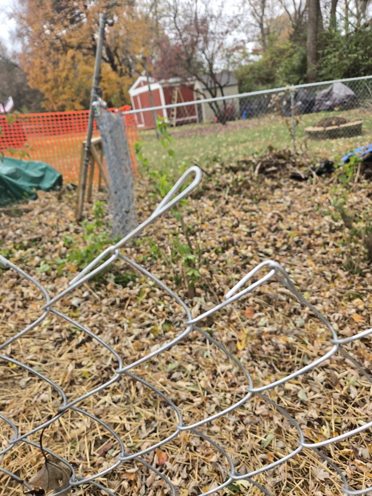 ALEKO Galvanized Steel Chain Link Fence | Complete Kit | 6 x 50 Ft | 11.5-AW Gauge | Silver | KITCLF115G6X50 - Customer Photo 1