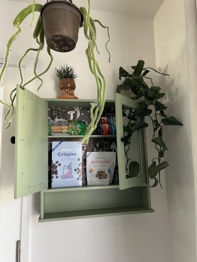 Best Medicine Cabinets with Storage