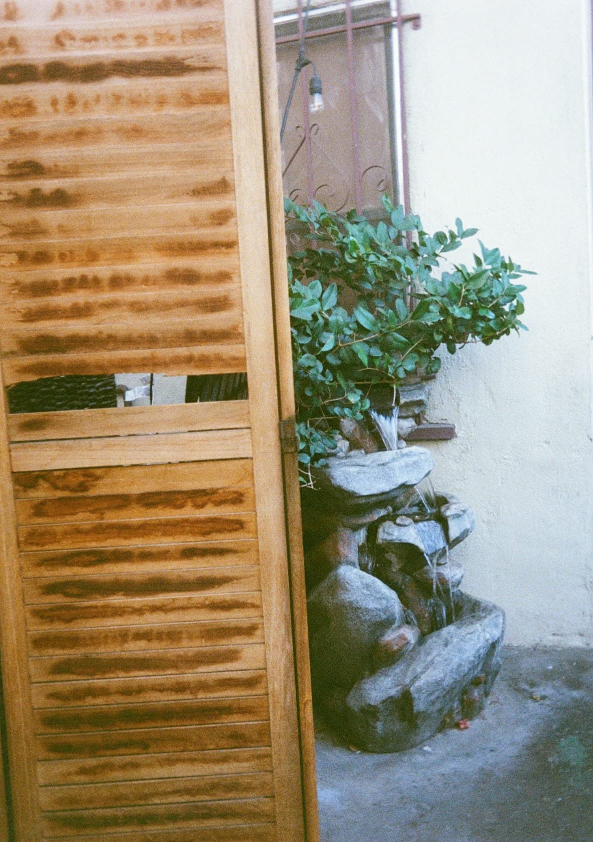 KODAK EKTAR H35 Half Frame Film Camera, 35mm, Reusable, Focus-Free, Lightweight, Easy-to-Use (Sage) - Customer Photo 2