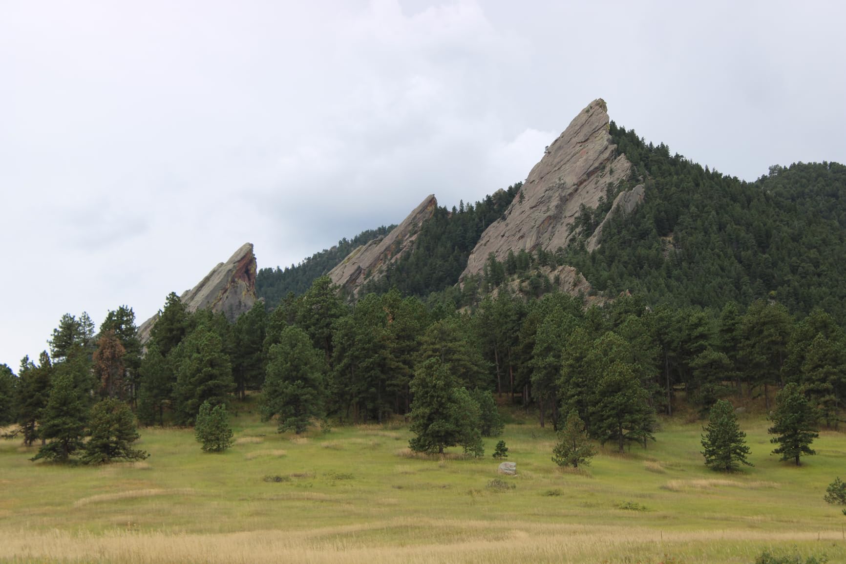 Canon EOS R7 Mirrorless Camera (Body Only), Hybrid Camera, 32.5 Megapixel (APS-C) CMOS Sensor, 4K Video, for Sports, Action, Content Creators, Vlogging Camera, Black - Customer Photo 1