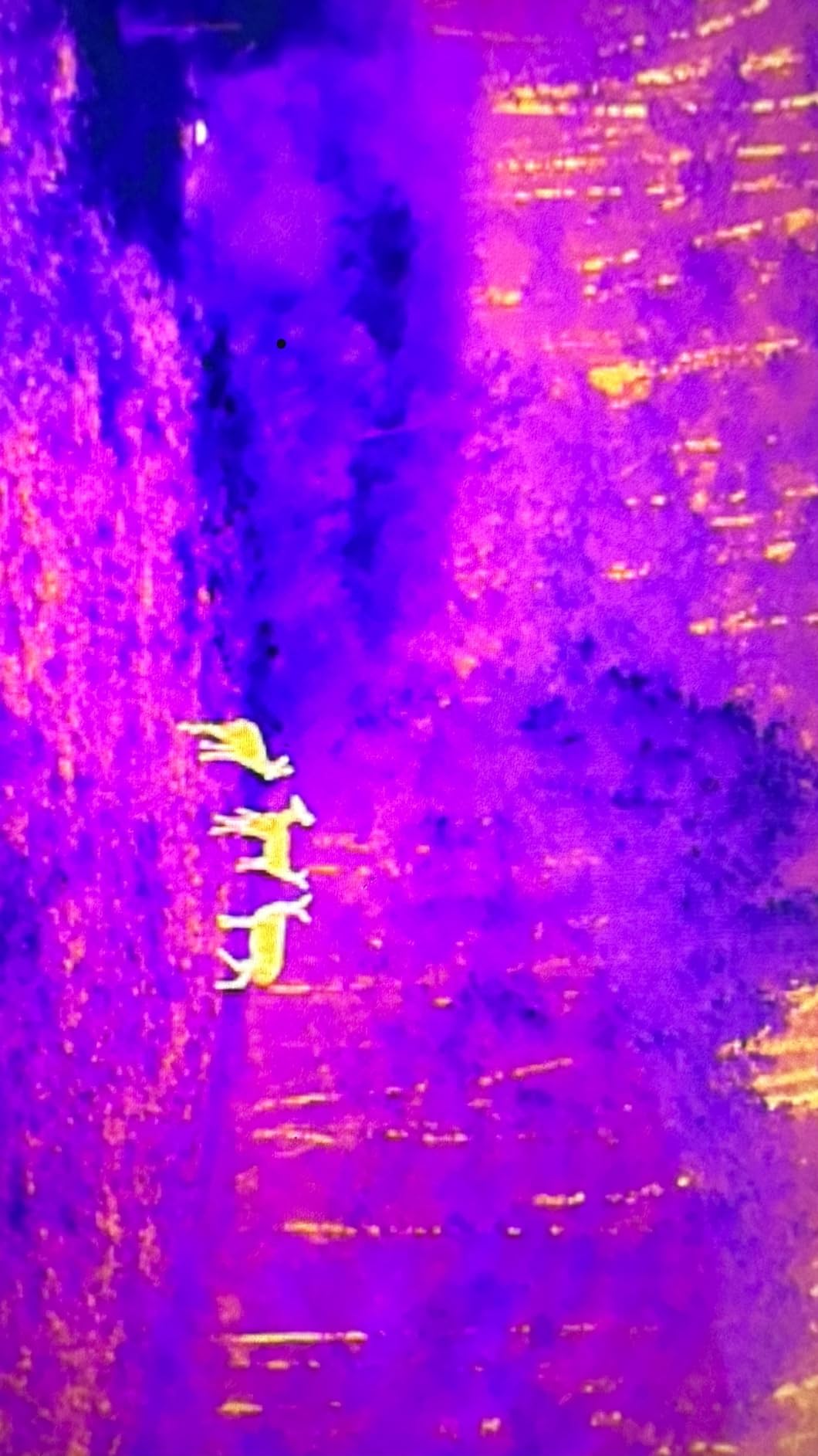 Autel Robotics EVO II Dual 640T V3, 640x512 Thermal Imaging Drone, Remote ID Supported, 0.8'' CMOS&50MP 8K RYYB Sensor,10+ Temp Measurement, D-RI Ranges, Thermal Analysis Tool, for Search&Rescue/Power Inspection/Public Safety/Hunting - Customer Photo 2