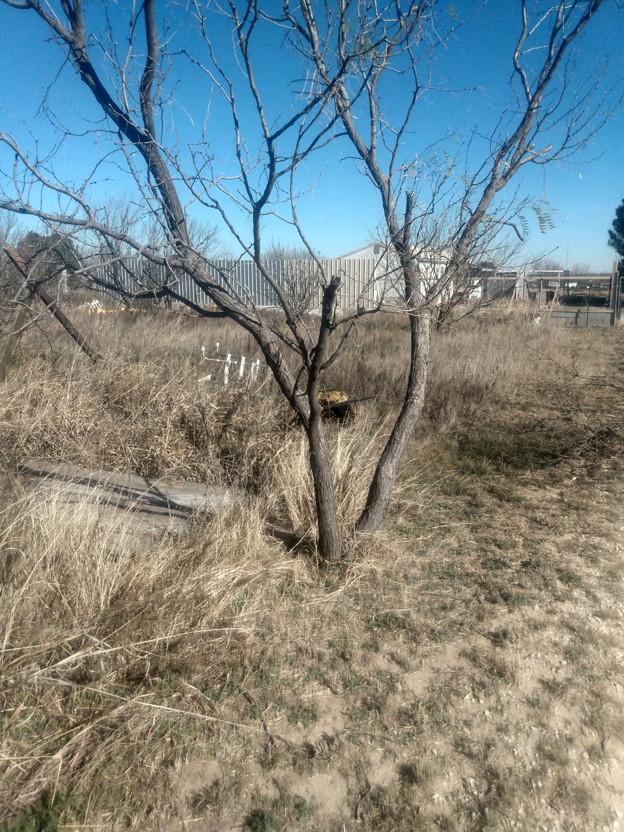 Product - Customer Photo 3