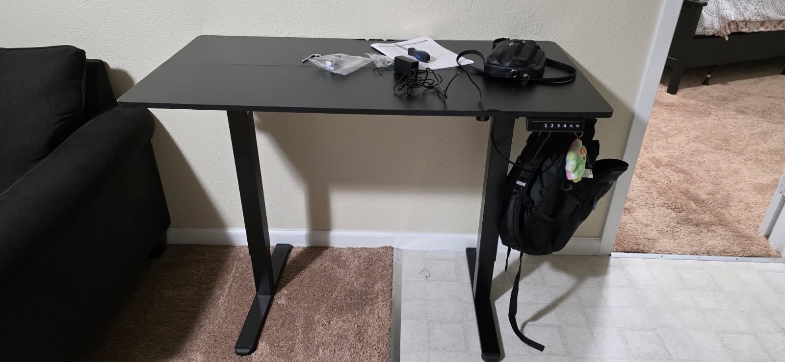 ErGear Height Adjustable Electric Standing Desk, 47.2 x 23.6 Inches Sit Stand up Desk, Memory Computer Home Office Desk (Black) - Customer Photo 1