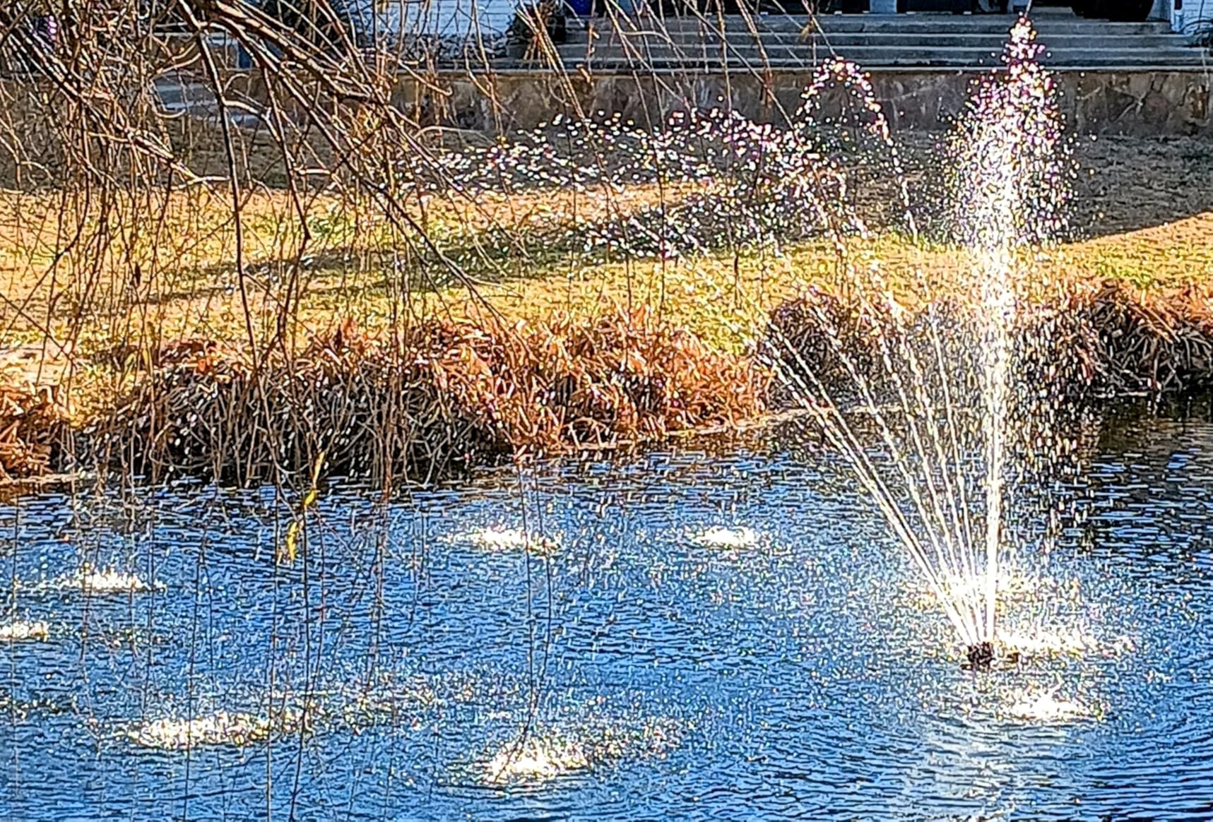 OYO WATER Outdoor Large 8300gph-520W 32.8FT Pond Waterfall Koi Fish Fountain Garden Pump - Customer Photo 1