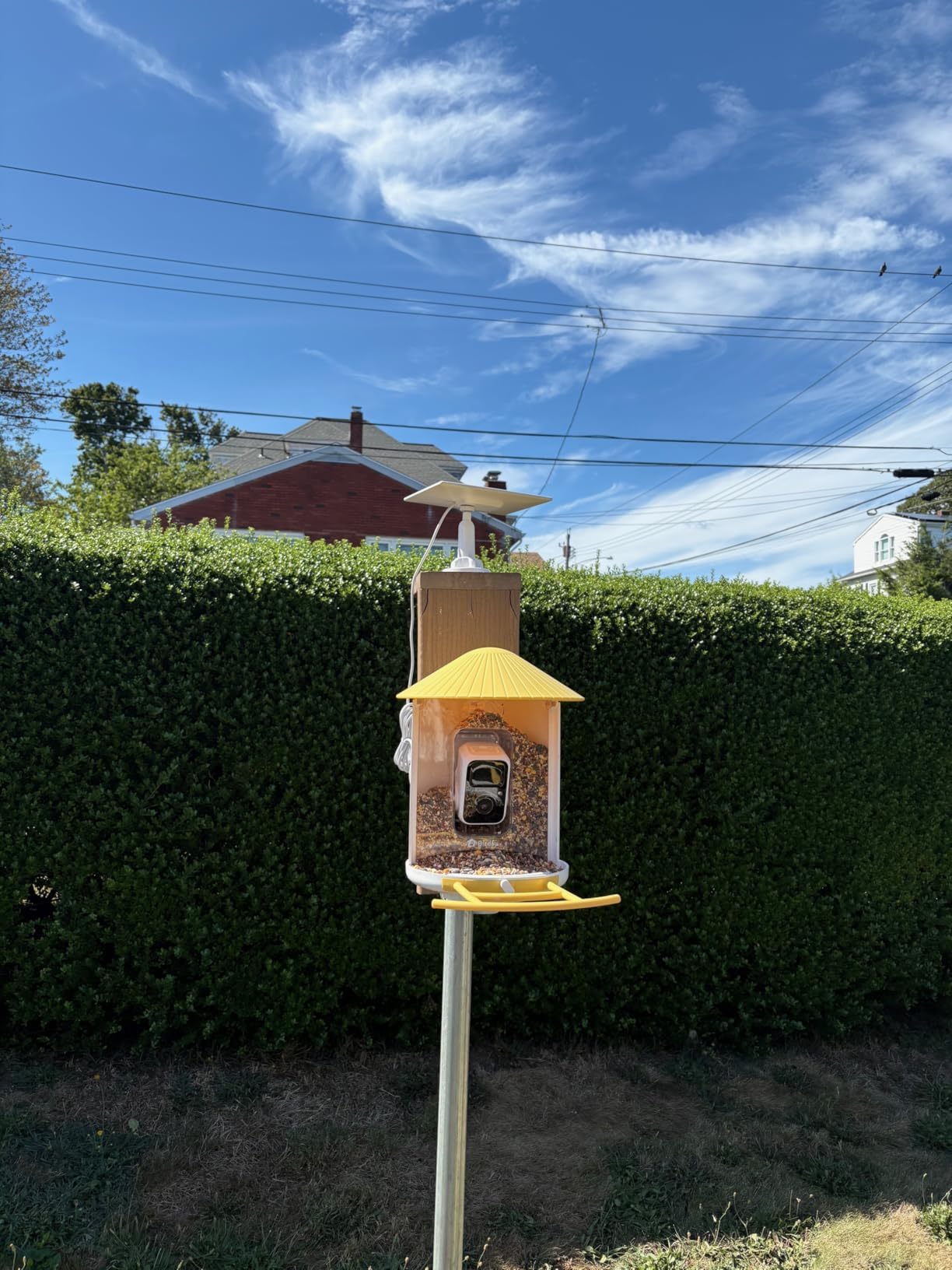 NETVUE by Birdfy Smart Bird Feeder with 2K AI Camera, Auto Capture Videos & Motion Detection, Live Steam, Wireless Wildbird Watching, Ideal Gift for Outdoor Backyard Birder(AI by Subscription) customer photo 1