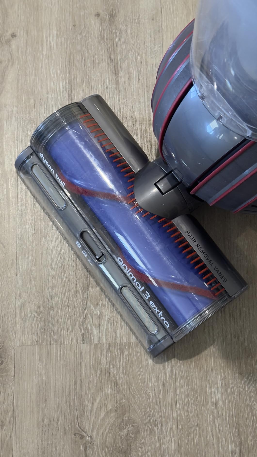 Dyson Ball Animal 3 Extra Upright Vacuum, Corded, 290AW, De-tangling Motorbar Cleaner Head for All Floors, 3 Suction Modes, Specialized pet Tools - Customer Photo 2