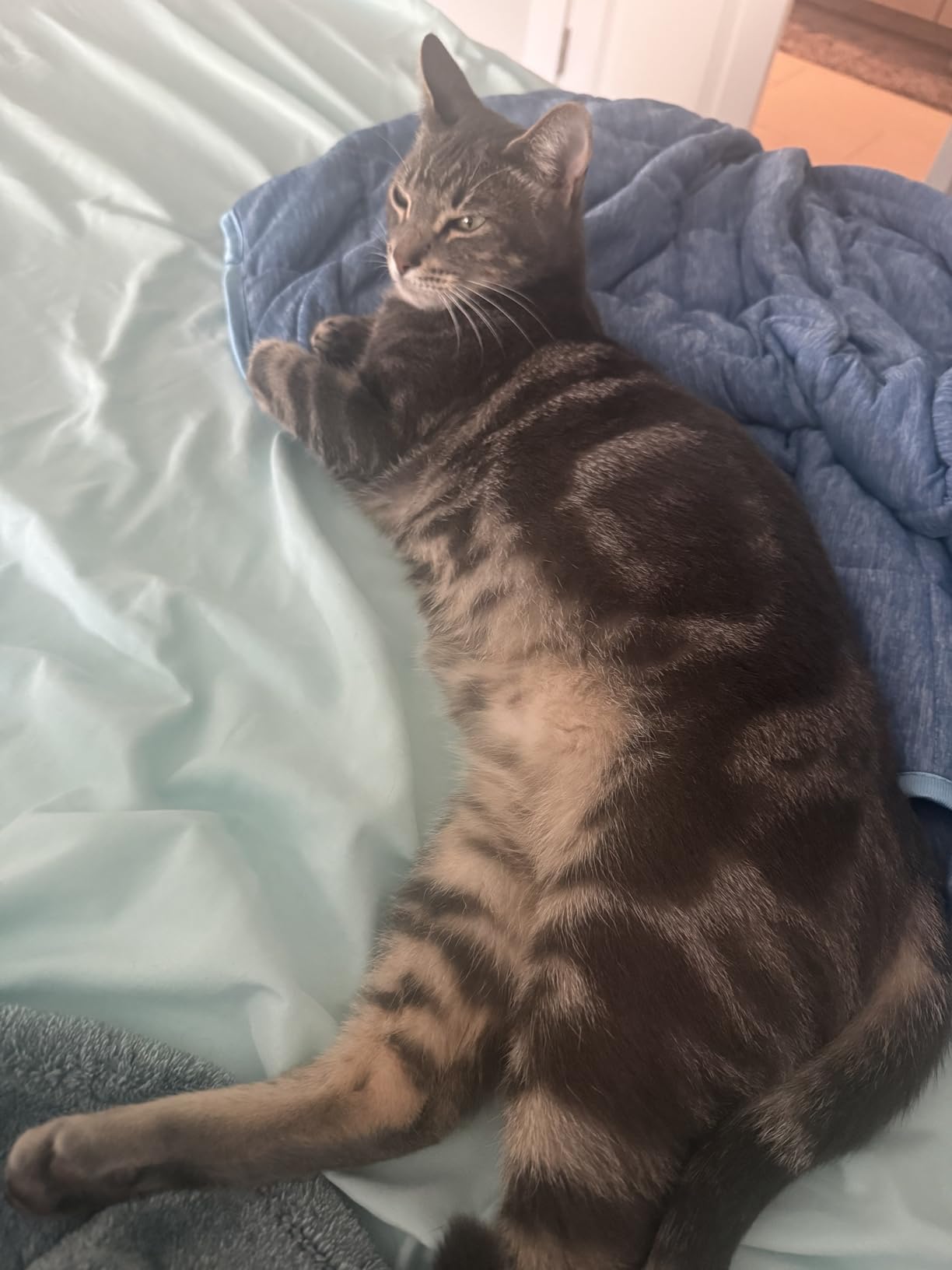 King Size Weighted Blanket 20lbs - 88