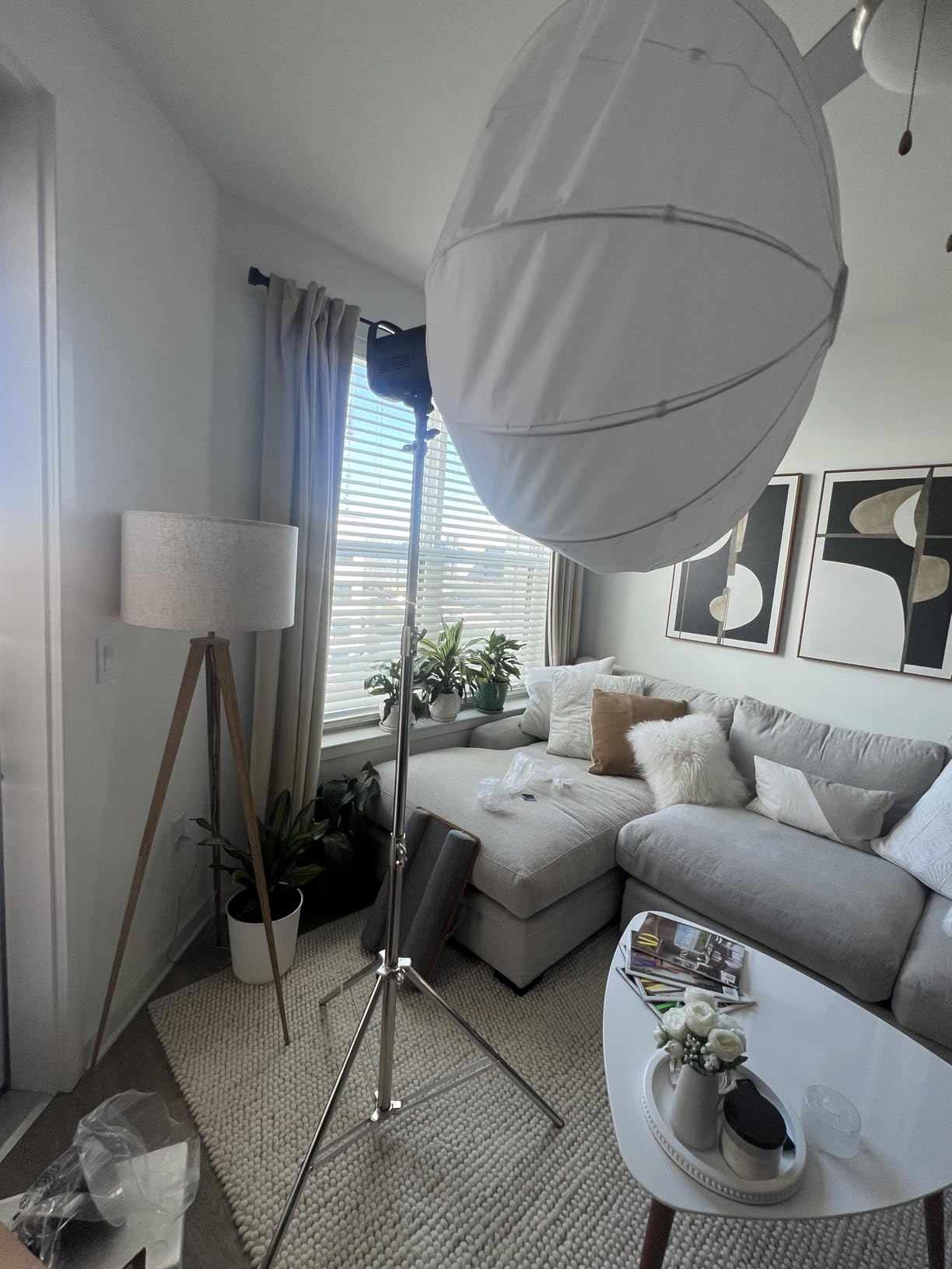 NEEWER 7.2ft/2.2m Stainless Steel Light Stand, Spring Cushioned Heavy Duty Photography Tripod Stand with 1/4