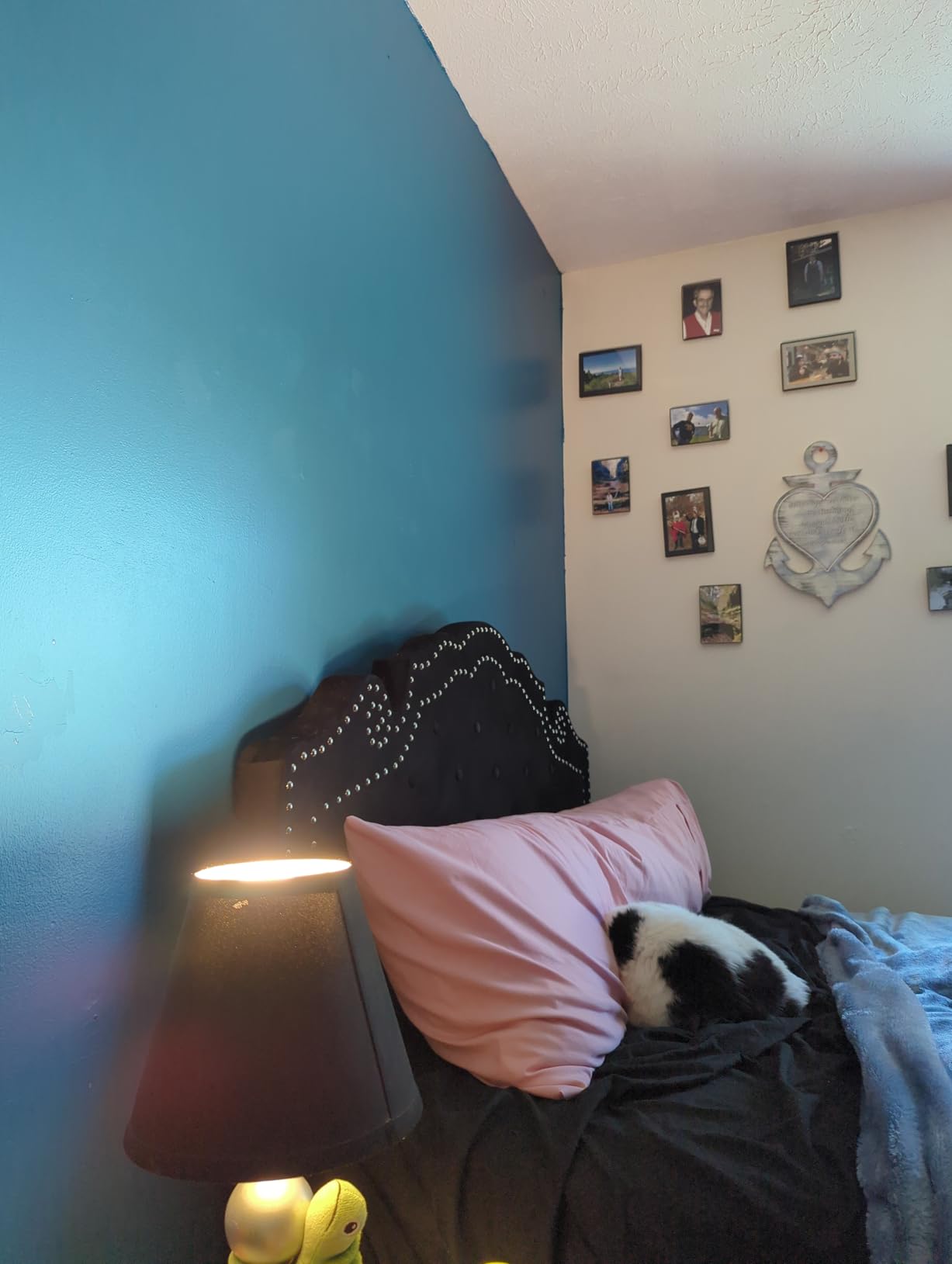 Glidden Total Interior Wall Paint & Primer All-in-One, Blue Bows/Blue, Semi-Gloss, 1 Gallon - Customer Photo 2