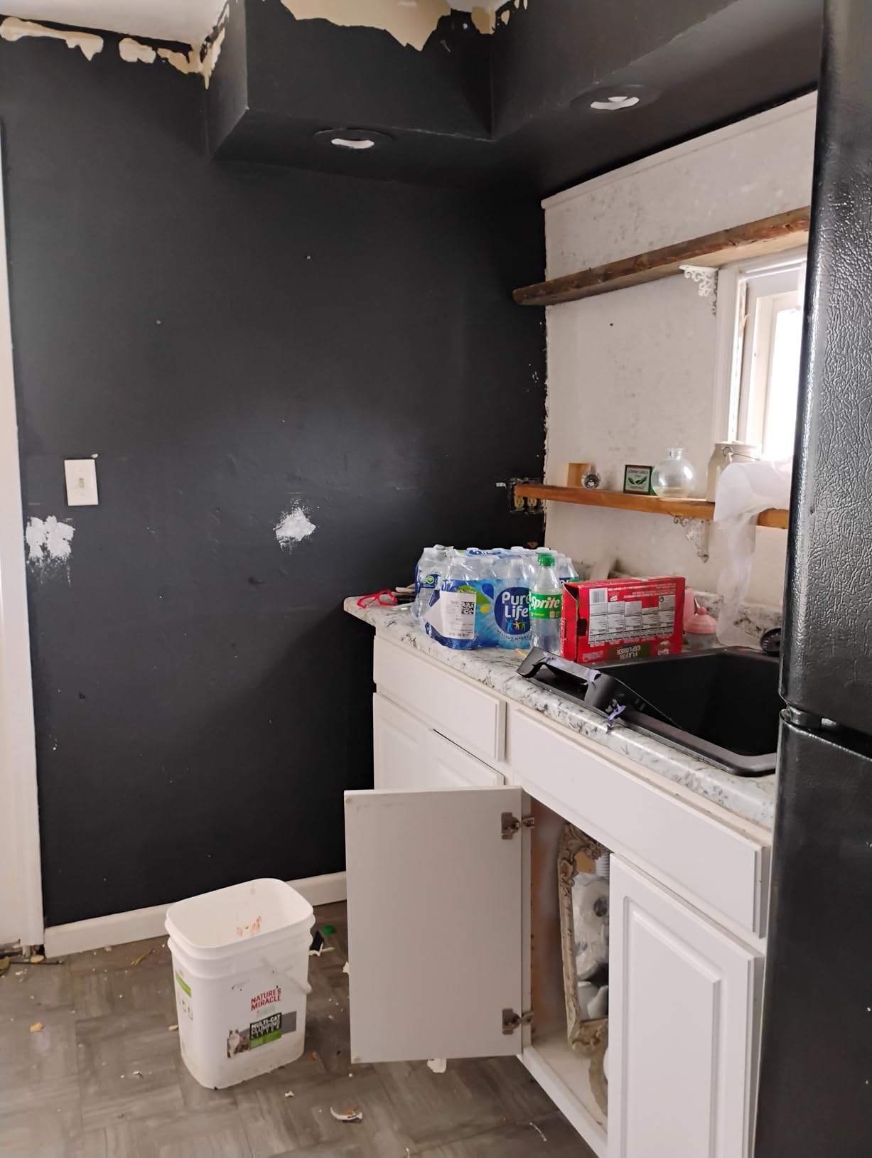 Glidden Total Interior Wall Paint & Primer All-in-One, Blue Bows/Blue, Semi-Gloss, 1 Gallon - Customer Photo 5