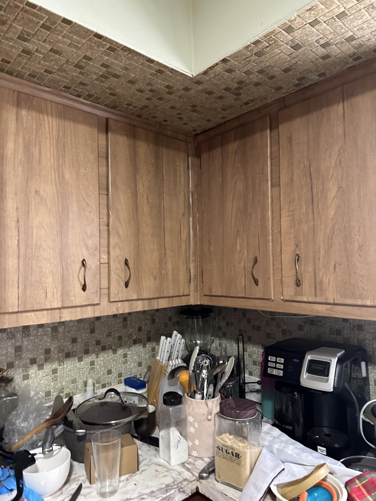 Glidden Total Exterior Paint & Primer All-in-One, Little Bear/Brown, Satin, 1 Gallon - Customer Photo 1