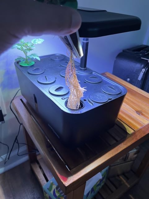 Ahopegarden Indoor Garden Hydroponics Growing System: 10 Pods Plant Germination Kit Herb Vegetable Growth Lamp Countertop with LED Grow Light - Hydrophonic Planter Grower Harvest Lettuce customer photo 1