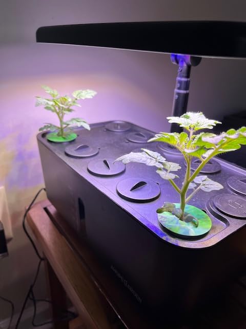 Ahopegarden Indoor Garden Hydroponics Growing System: 10 Pods Plant Germination Kit Herb Vegetable Growth Lamp Countertop with LED Grow Light - Hydrophonic Planter Grower Harvest Lettuce customer photo 2