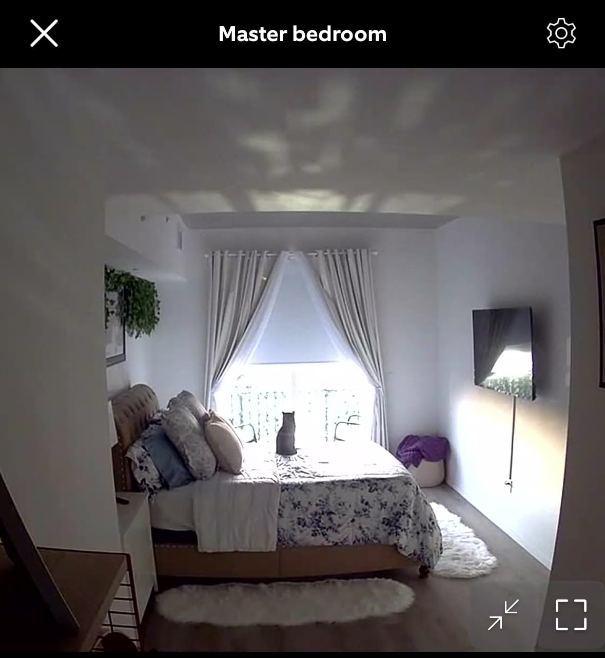 Ring Indoor Cam, Home or business security in 1080p HD video, White - Customer Photo 1