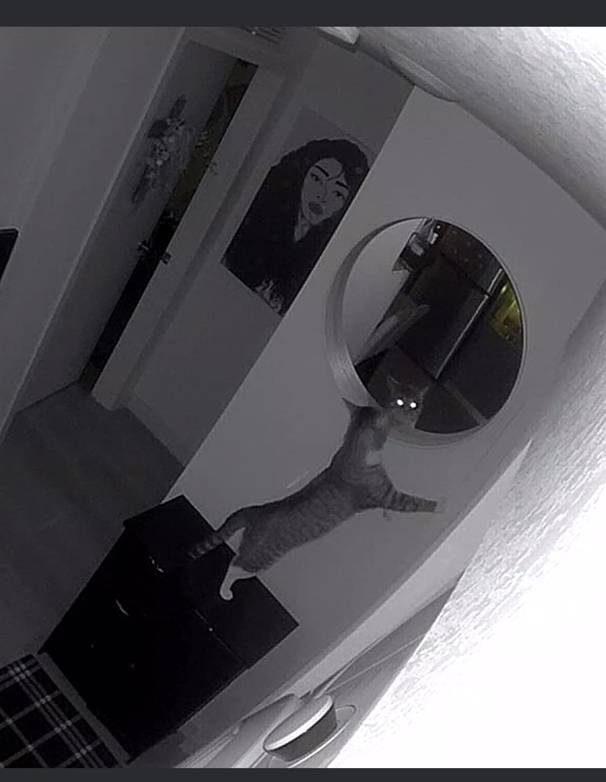 Ring Indoor Cam, Home or business security in 1080p HD video, White - Customer Photo 2