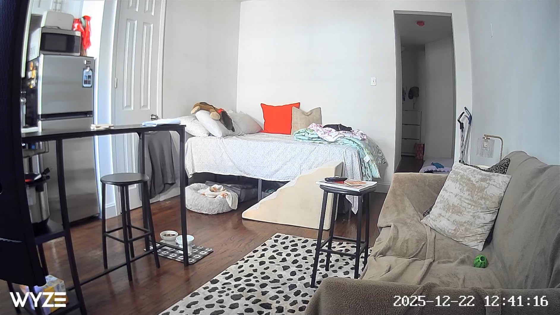 Wyze Cam OG Indoor/Outdoor 1080p Wi-Fi Smart Home Security Camera with Color Night Vision, Built-in Spotlight, Motion Detection, 2-Way Audio - Customer Photo 1