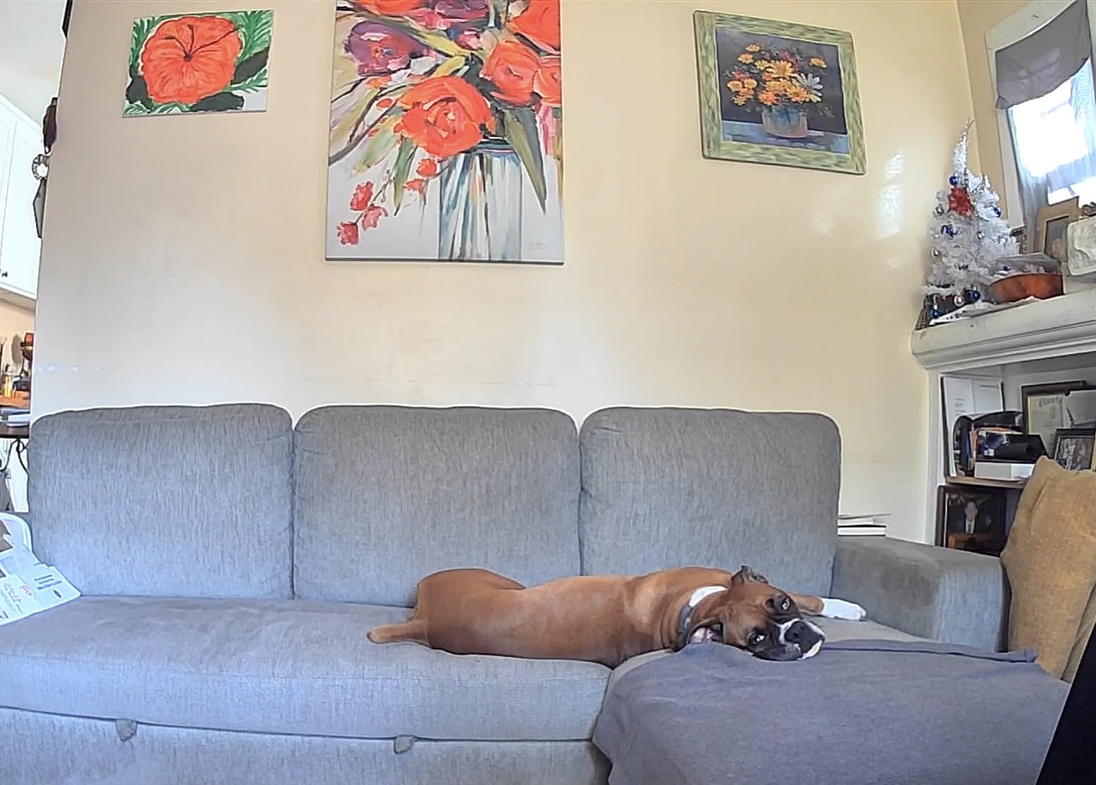 Wyze Cam OG Indoor/Outdoor 1080p Wi-Fi Smart Home Security Camera with Color Night Vision, Built-in Spotlight, Motion Detection, 2-Way Audio, Compatible with Alexa & Google - Customer Photo 2