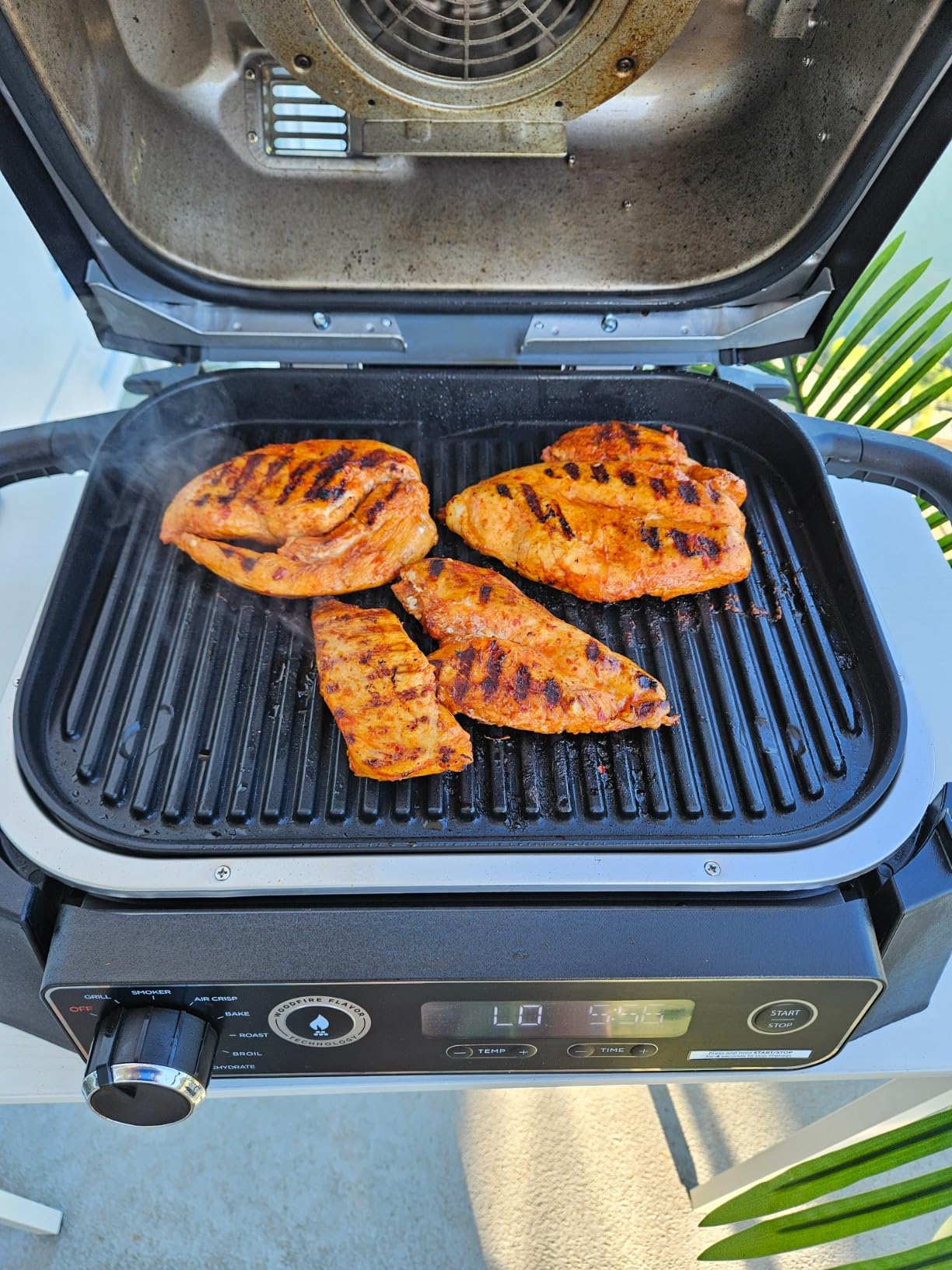 Ninja | Woodfire Series | 7-in-1 (Grill, BBQ, Roast, Air Fry, Dehydrate, Broil, Smoke) | Portable & Weather Resistant | Cook Up To 6 Steaks & 30 Hot Dogs | Woodfire Pellets included | OG701 - Customer Photo 2