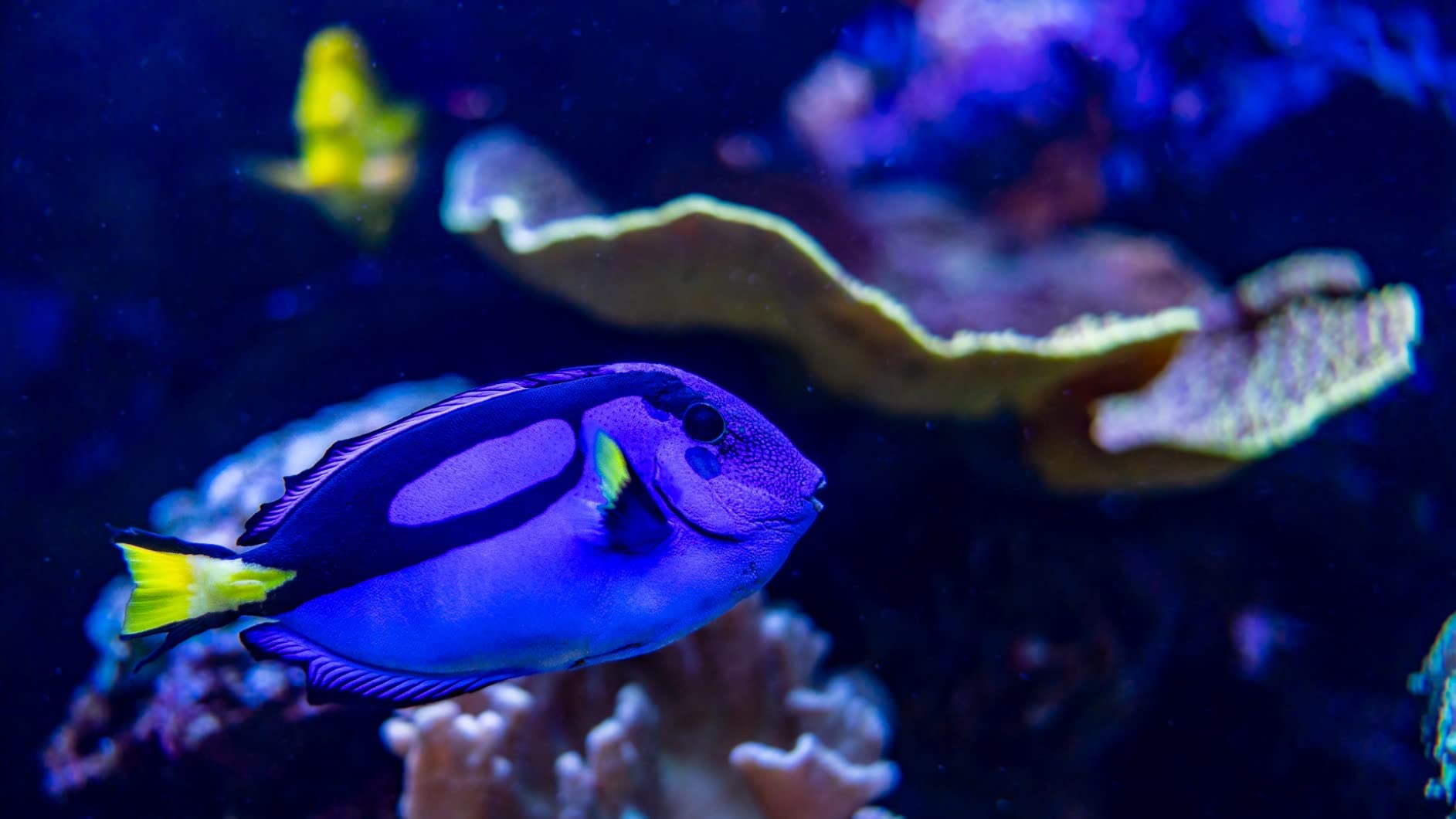 24mm F1.4 Art DG DN for Sony E Mount - Customer Photo 1