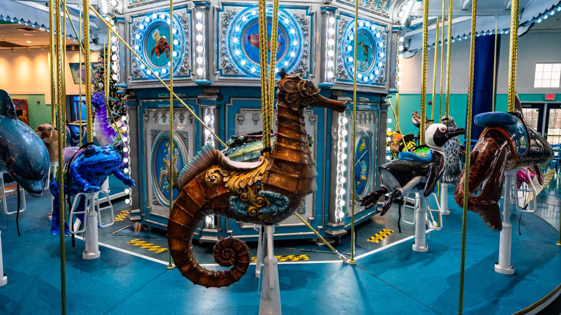 24mm F1.4 Art DG DN for Sony E Mount - Customer Photo 2