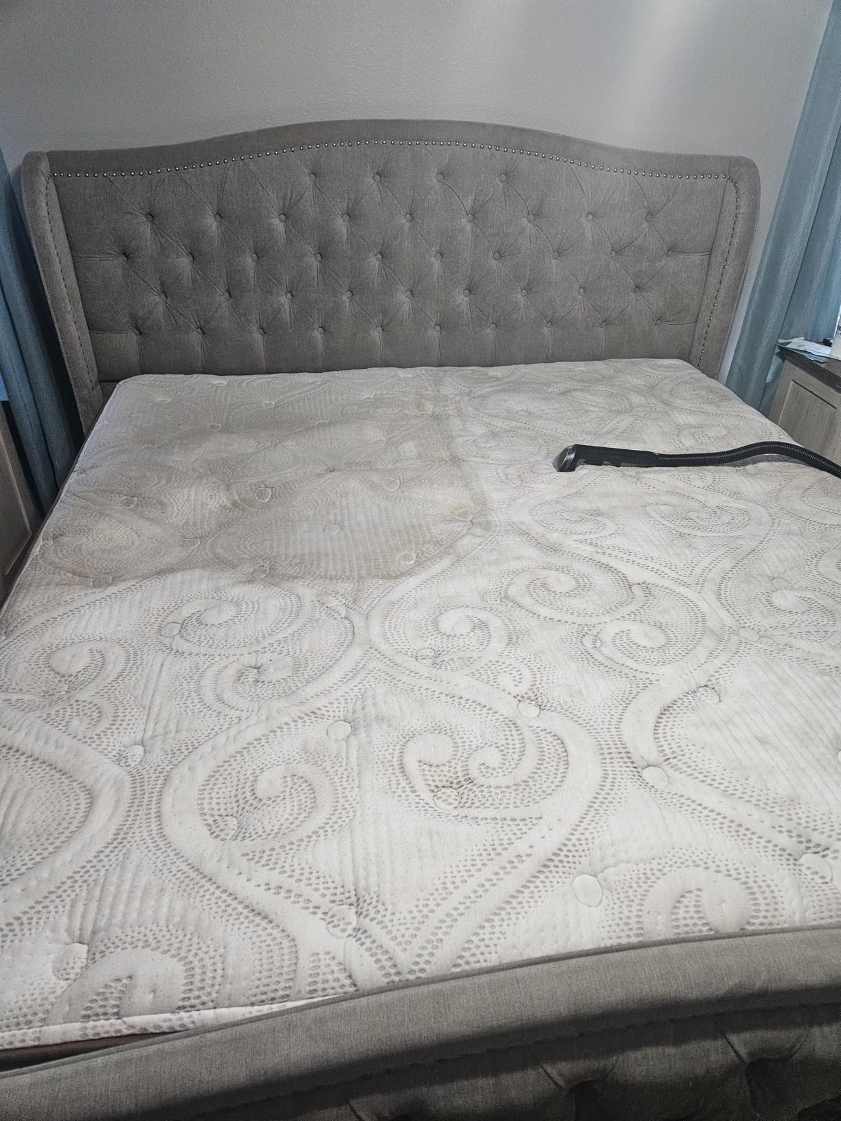 BISSELL ProHeat 2X Revolution Pet Pro Plus, 3588F, Upright Deep Cleaner, 30-minute Dry Time, Dual Dirt Lifter Powerbrush, Hose & Tool Attachment, Pet Upholstery and Tough Stain Tool Included - Customer Photo 3