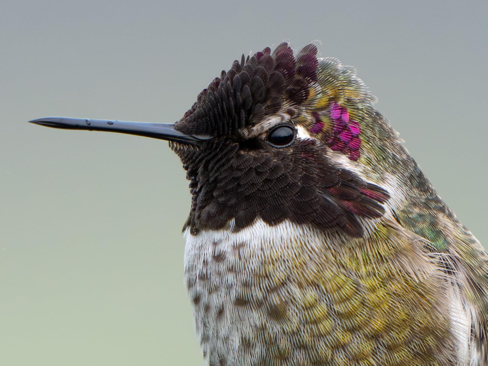 Tamron 50-400mm f/4.5-6.3 Di III VC VXD Lens for Sony Full Frame Mirrorless Cameras - Customer Photo 2