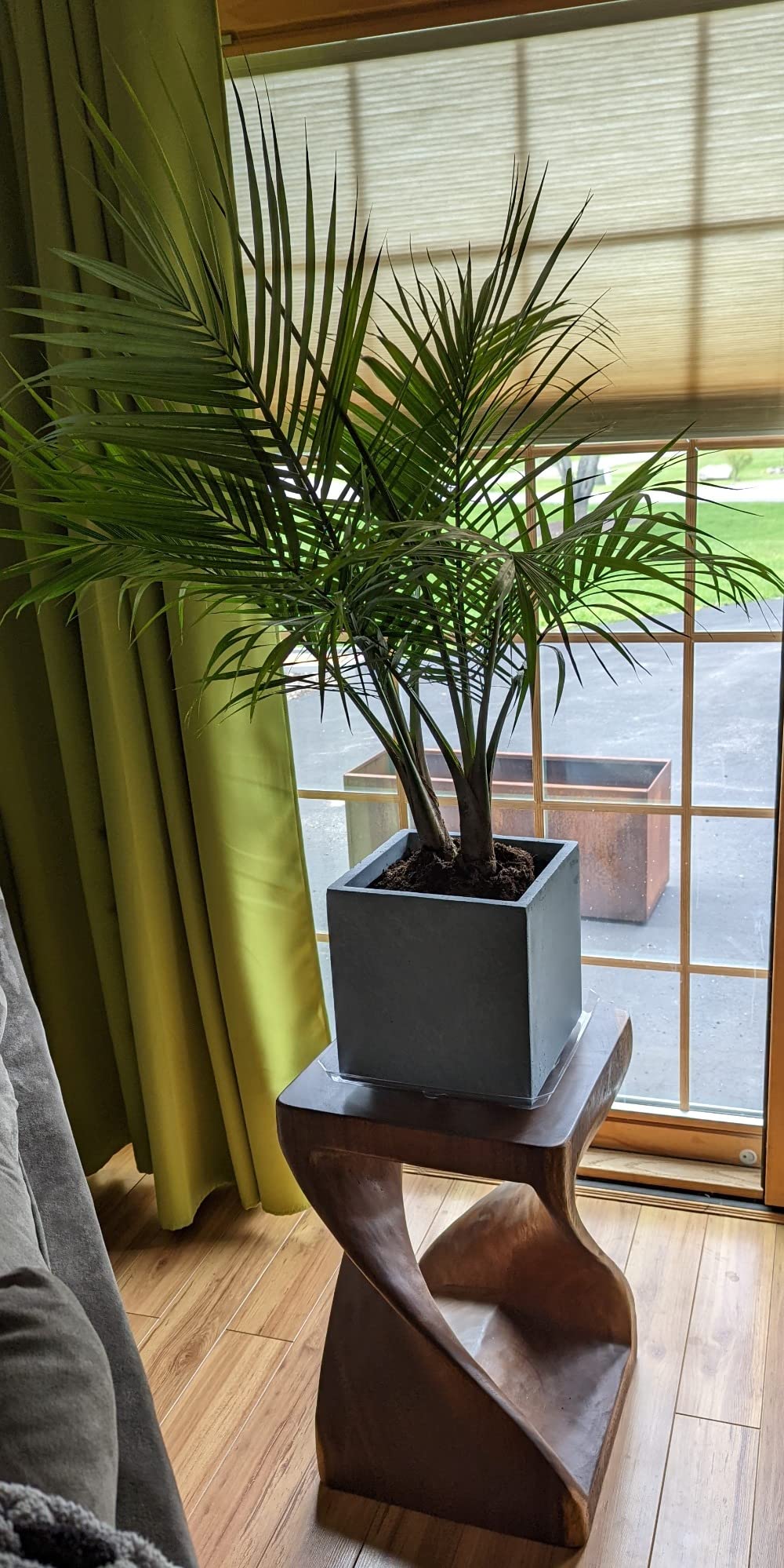 Kante 12 Inch Square Concrete Planter for Outdoor Indoor Home Patio Garden, Large Plant Pot with Drainage Hole and Rubber Plug, Natural Concrete - Customer Photo 1