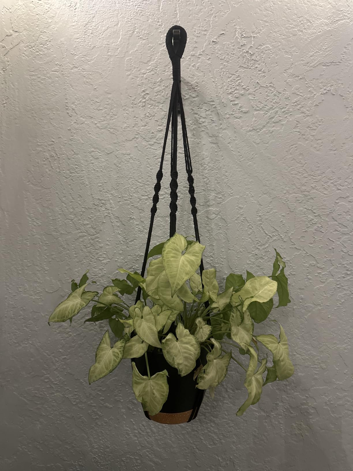 Hanging Planters with Macrame Plant Hangers for Indoor Outdoor Plants 3 Set Self Watering Pots Hanging Baskets Flower Pot Holders 3 Different Size - Customer Photo 1