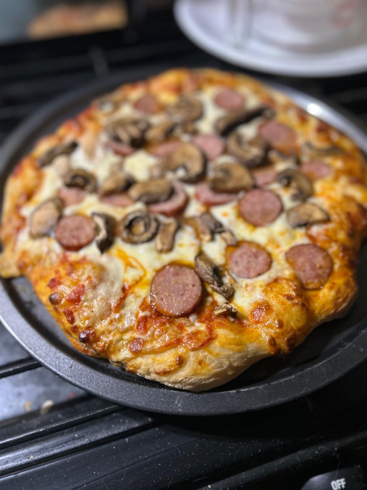 Outdoor Pizza Oven, Wood Fired for Outside, Patio Maker With Stone, Peel, Grill Rack, and Waterproof Cover for Backyard Camping customer photo 1