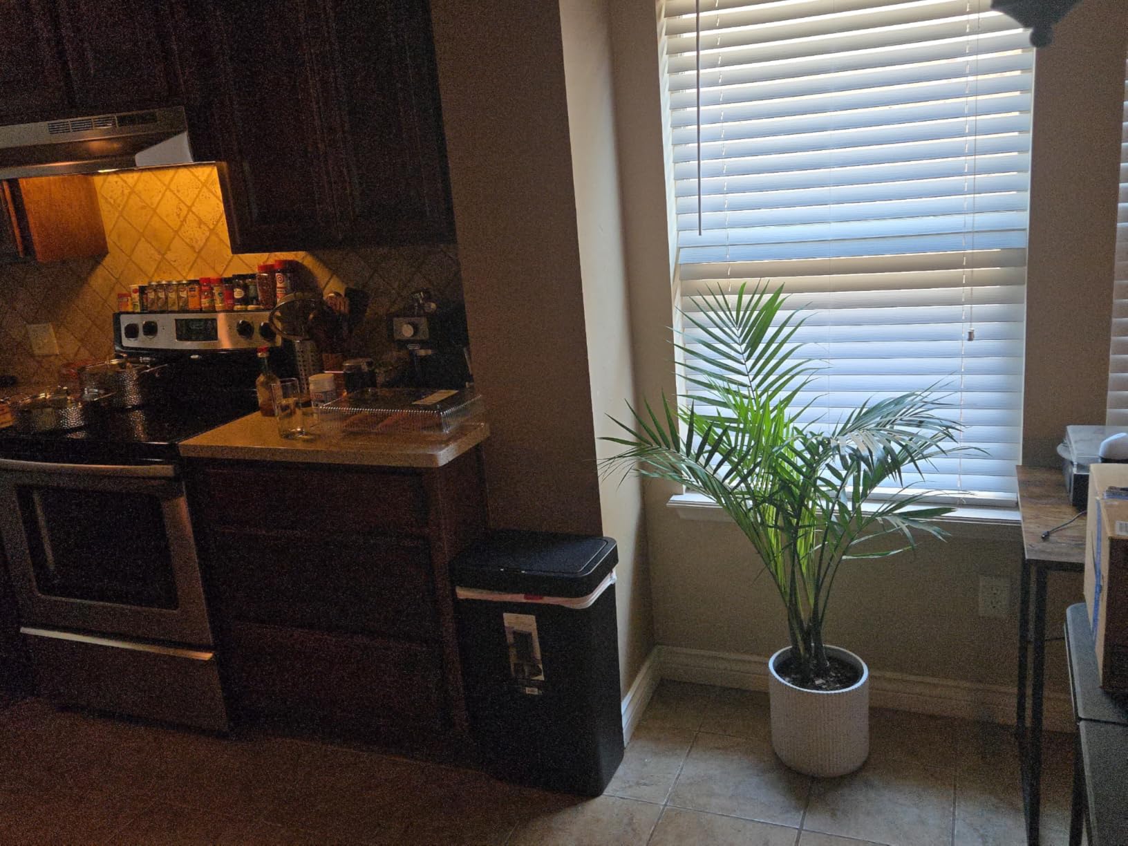 Amazon Basics Assorted Sizes Fluted Ceramic Round Indoor Outdoor Planters with Drainage, Set of 3, Modern Design, 6 inch, 8 inch, 10 inch, White - Customer Photo 1