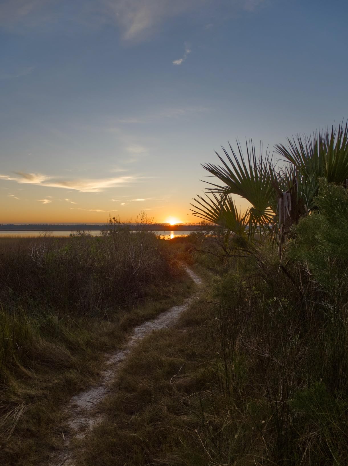 Olympus OM-5 Black Micro Four Thirds System Camera M.Zuiko Digital ED 12-45mm F4.0 PRO kit Outdoor Camera Weather Sealed Design 5-Axis Image Stabilization 50MP Handheld High Res Shot customer photo 1