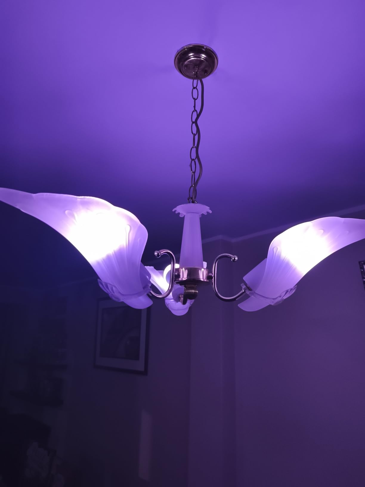 Linkind Matter Smart Light Bulb, WiFi Smart Bulbs, Work with Apple Home, Siri, Alexa, Google, SmartThings, RGBTW Color Changing Bulbs Mood Lighting, Music Sync, A19 E26 60W, 2.4Ghz WiFi 6 Pack - Customer Photo 1