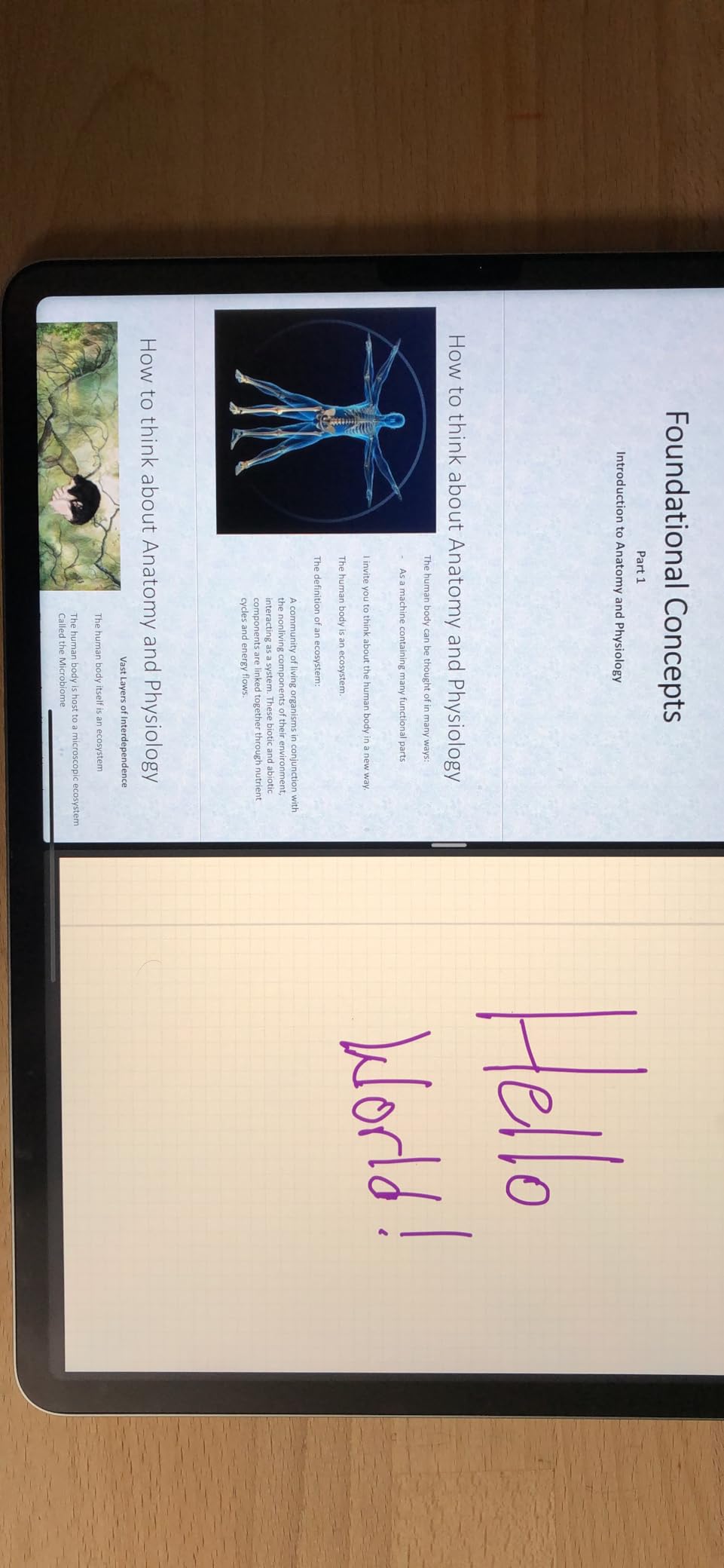 Apple iPad Pro 12.9-inch (6th Generation): with M2 chip, Liquid Retina XDR Display, 128GB, Wi-Fi 6E, 12MP front/12MP and 10MP Back Cameras, Face ID, All-Day Battery Life - Space Gray customer photo 1